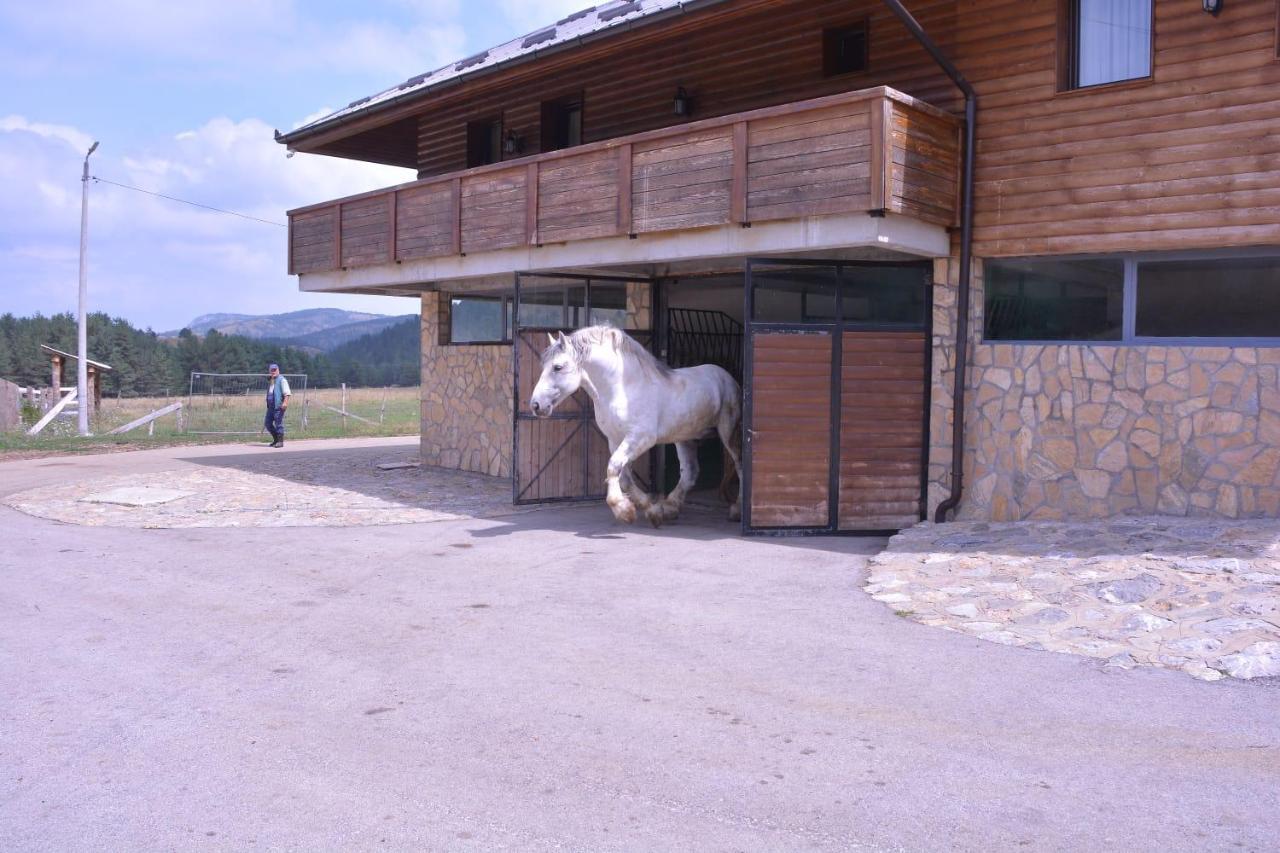 Hotel Borovi Forest Resort & Spa シェニツァ エクステリア 写真