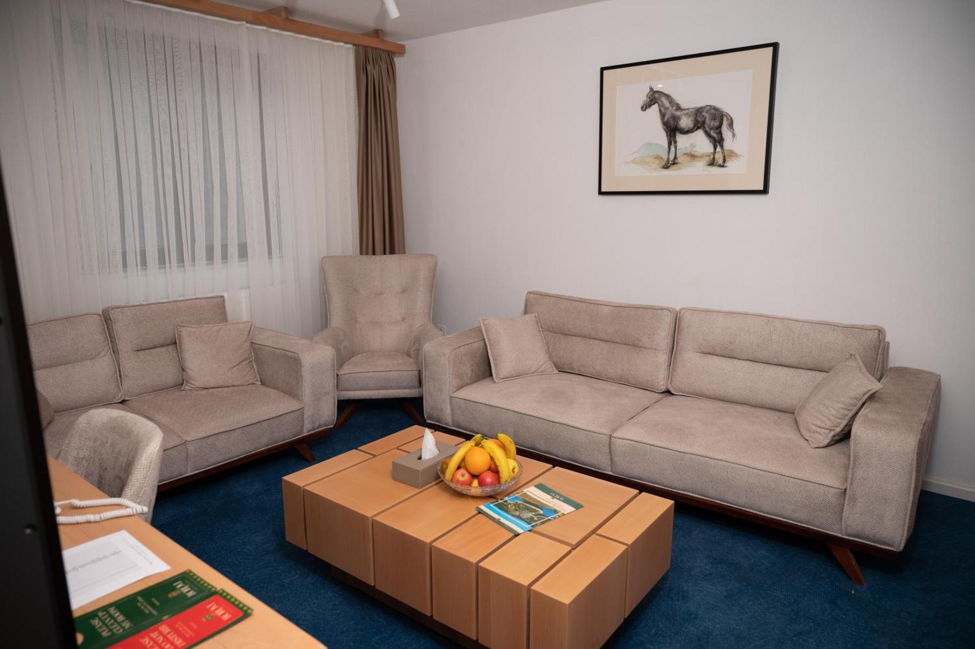 Hotel Borovi Forest Resort & Spa シェニツァ エクステリア 写真